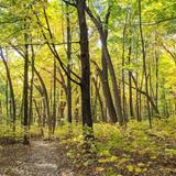 University of Wisconsin–Madison Arboretum