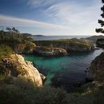 Point Lobos State Natural Reserve