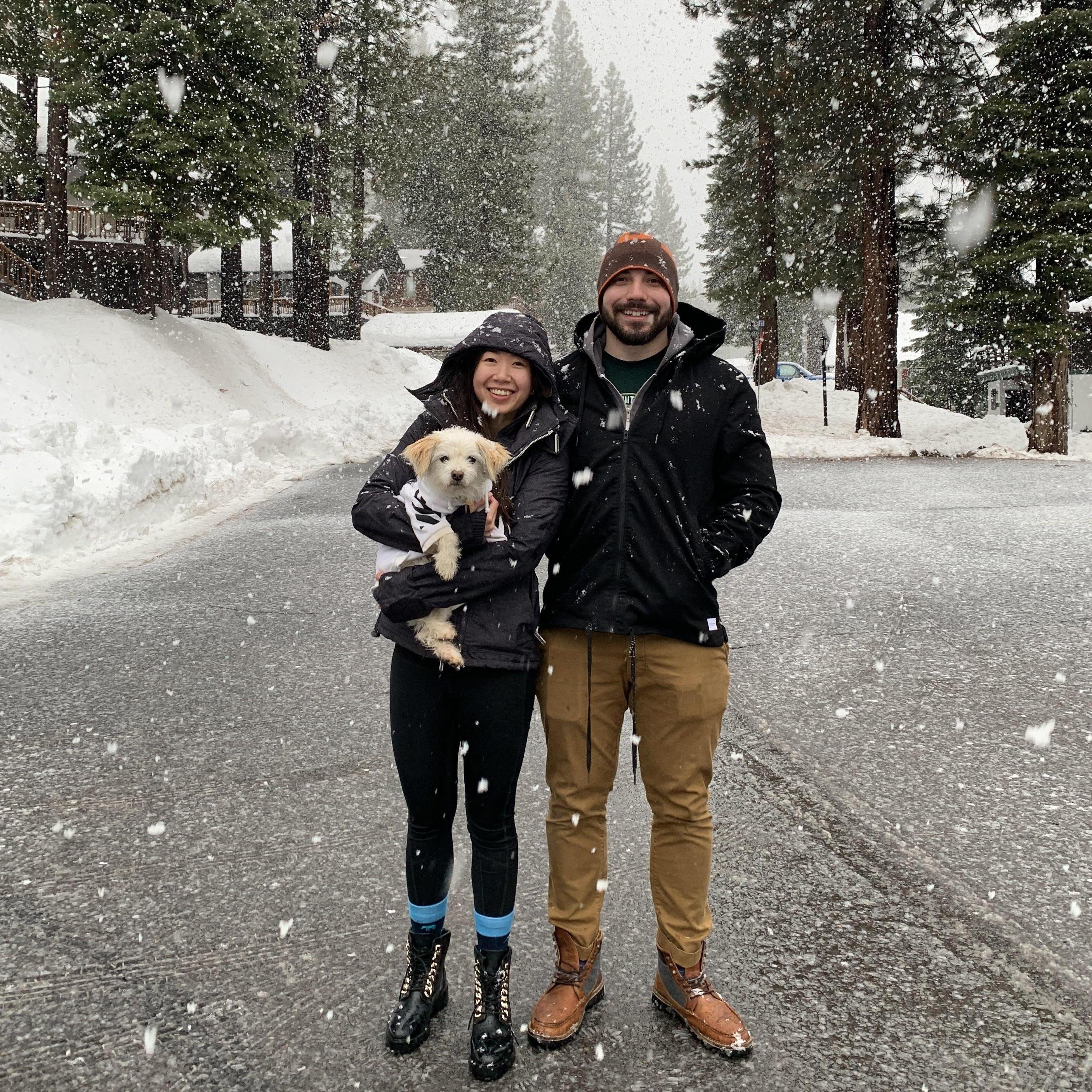 Louie aka Trashdog saw snow for the first time in Tahoe