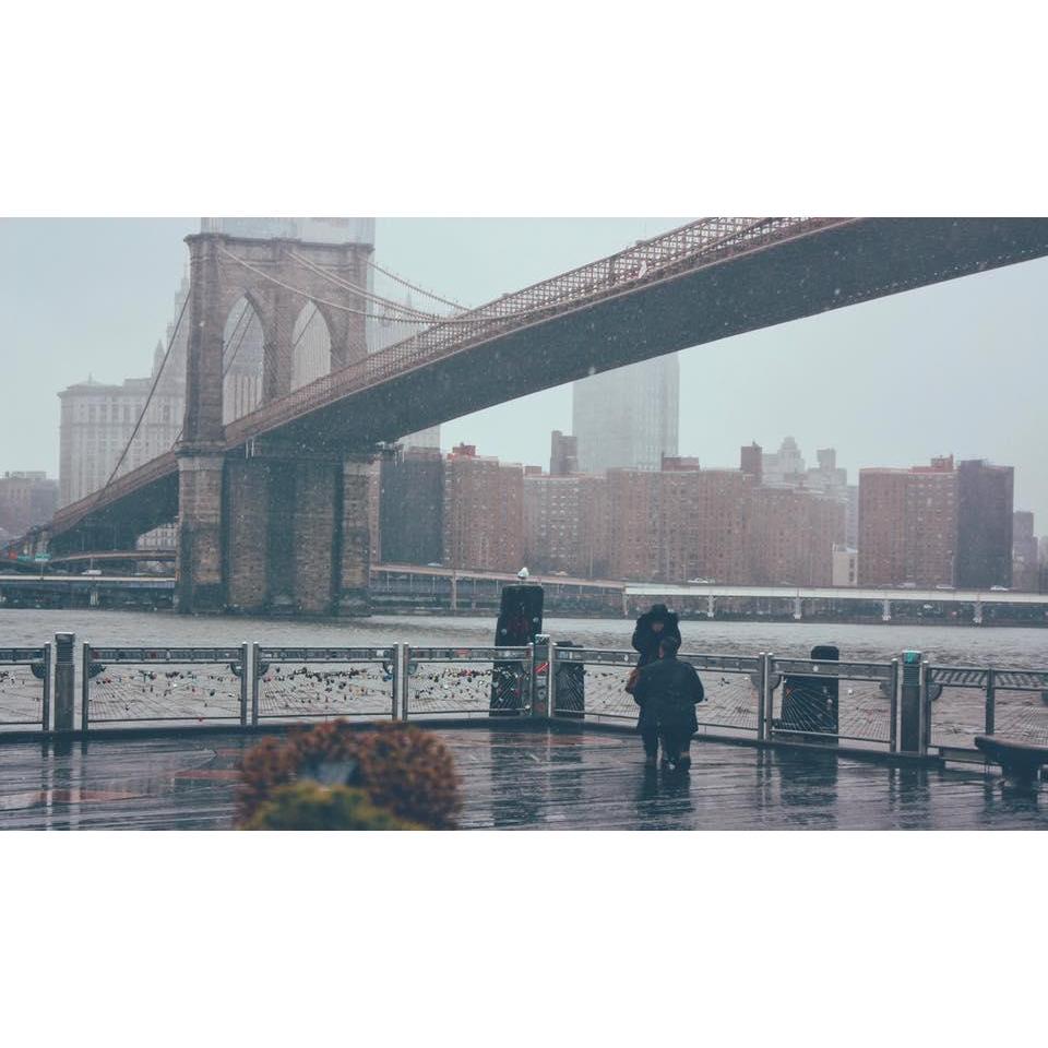 The proposal underneath the Brooklyn Bridge.