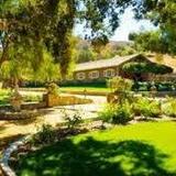 Giracci Vineyards and Farms