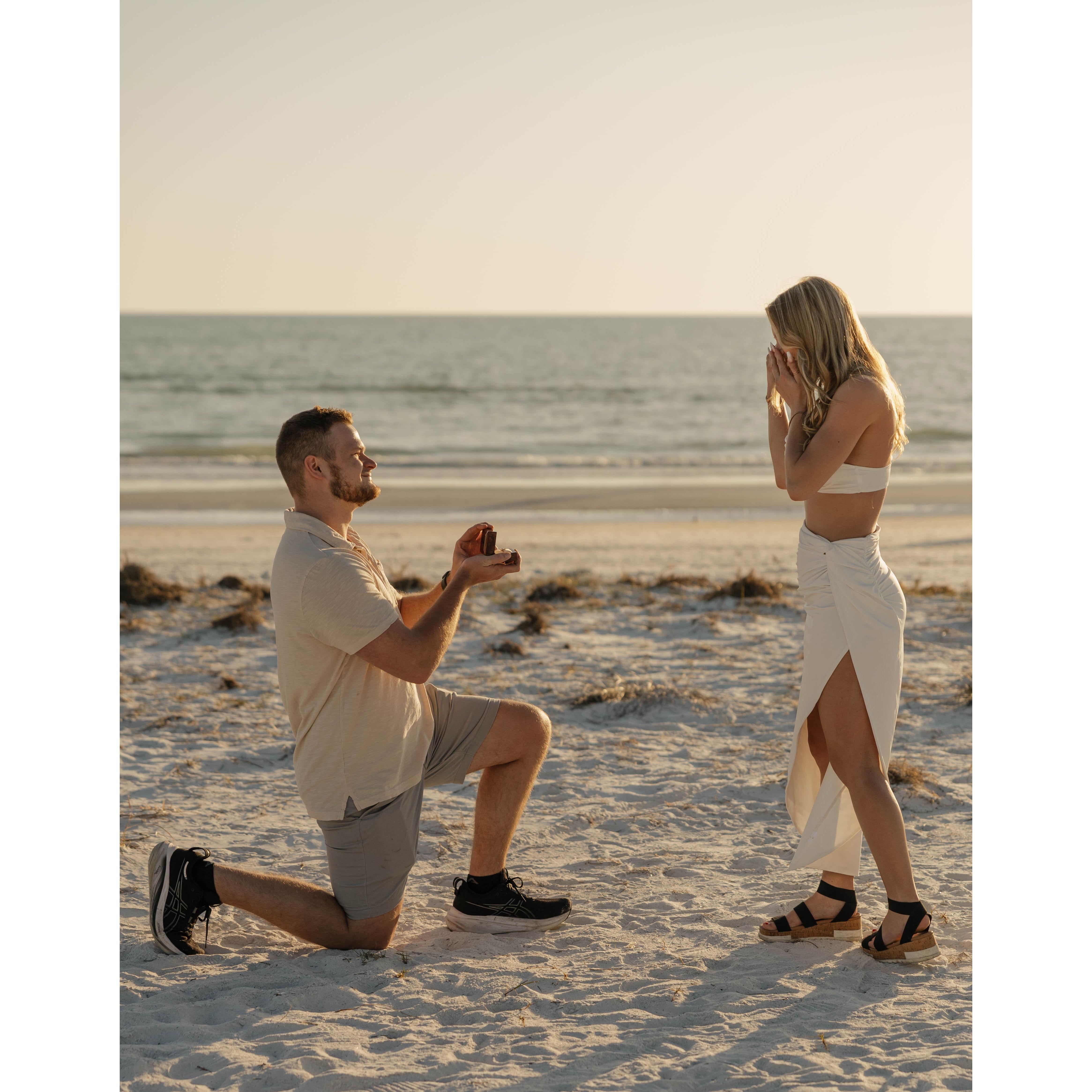 Our proposal in Siesta Key