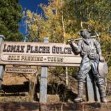 Gold Panning at Lomax Placer Mine