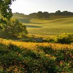 Natural Lands' Stroud Preserve