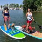 Capital SUP