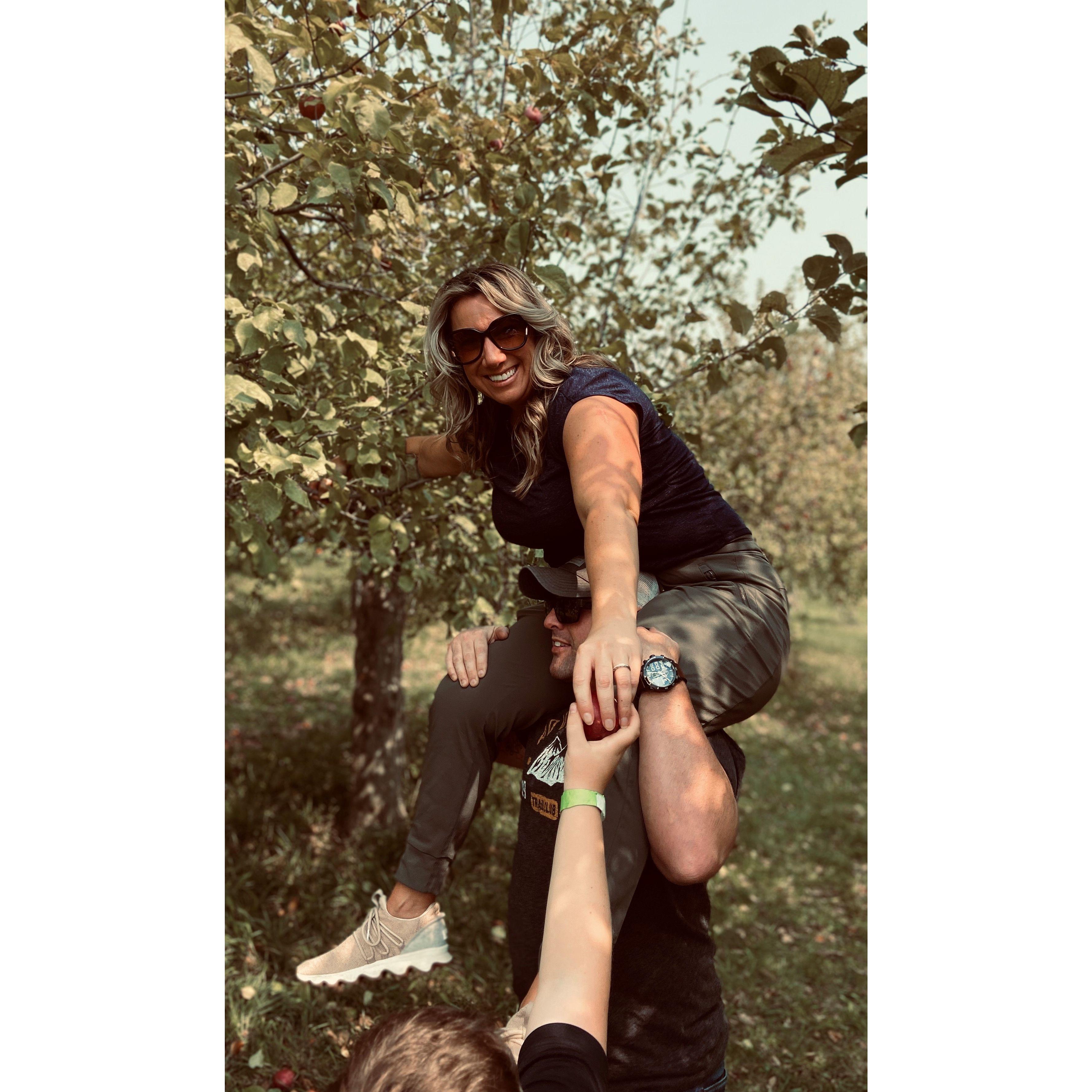 Apple Picking