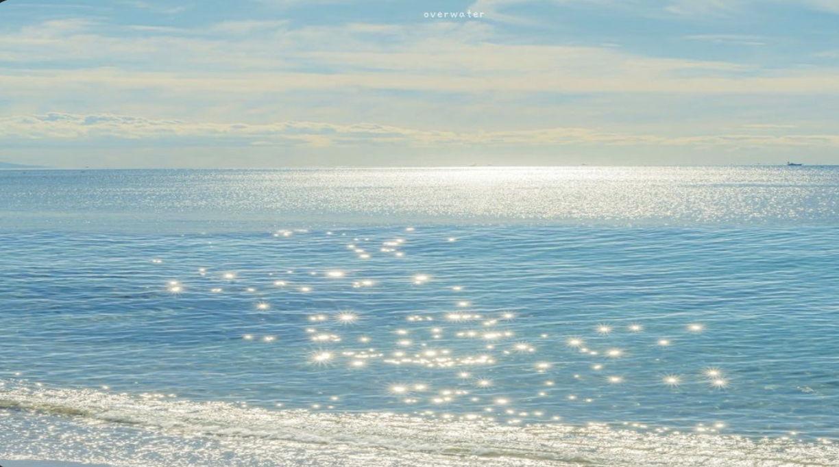 The Wedding Website of Nina Rush and Nick Campanelli