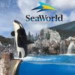 SeaWorld San Diego