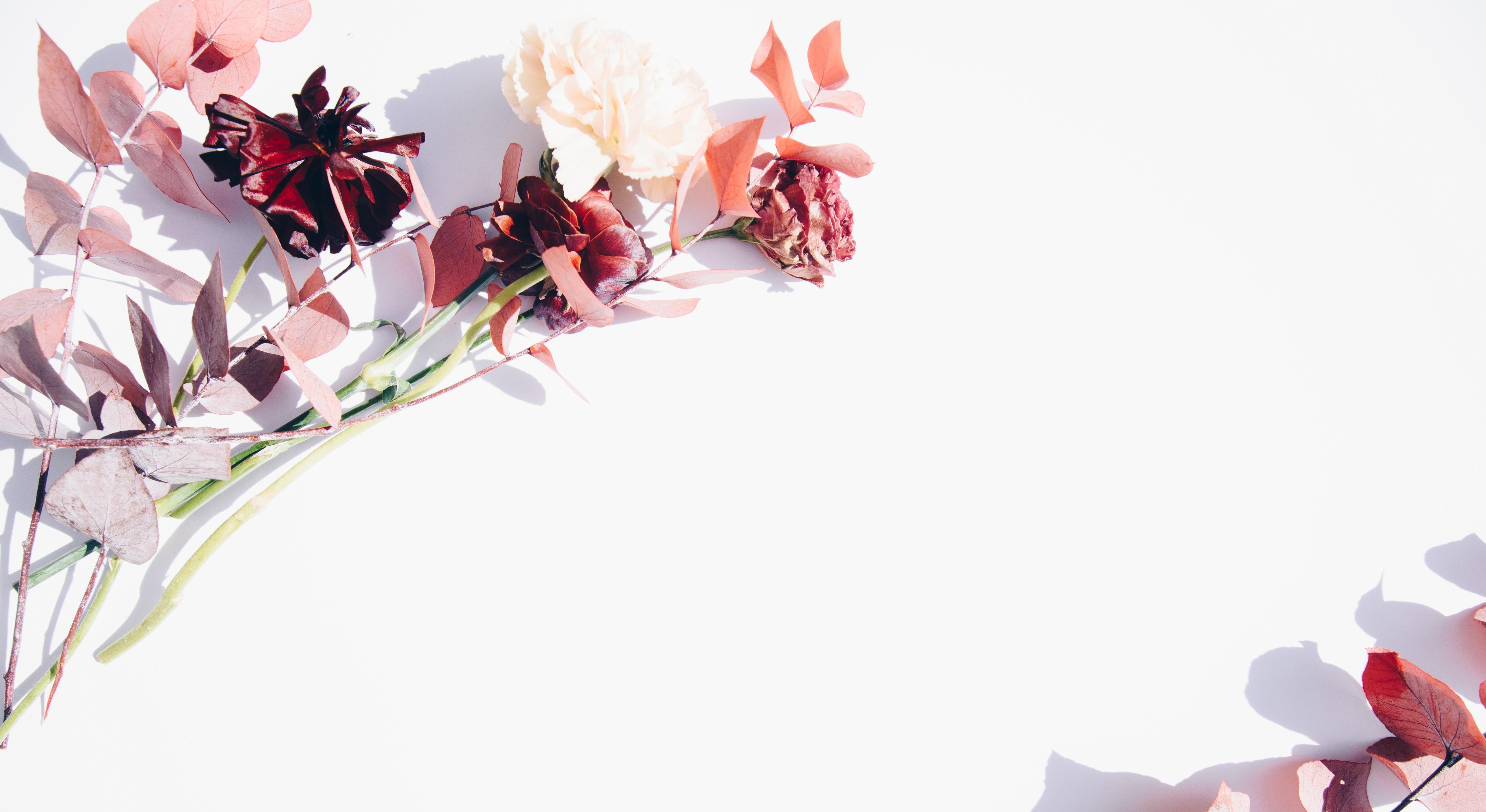 Footer image