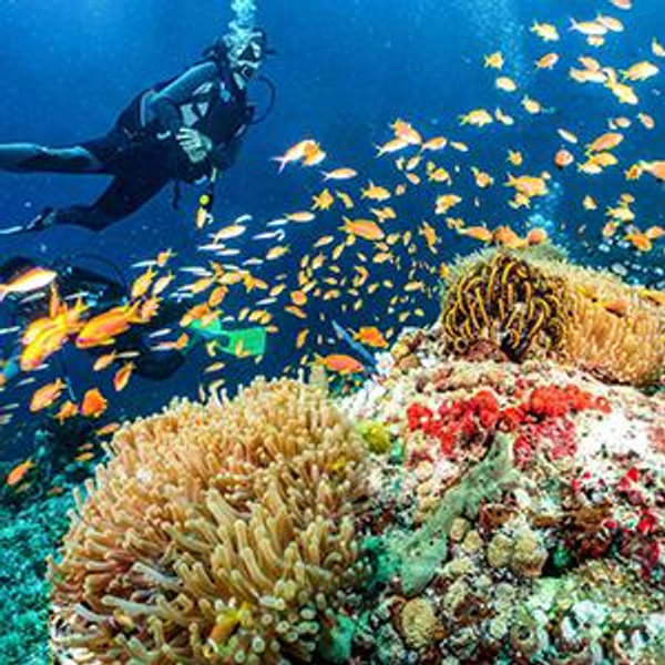 Scuba Certification for 2
