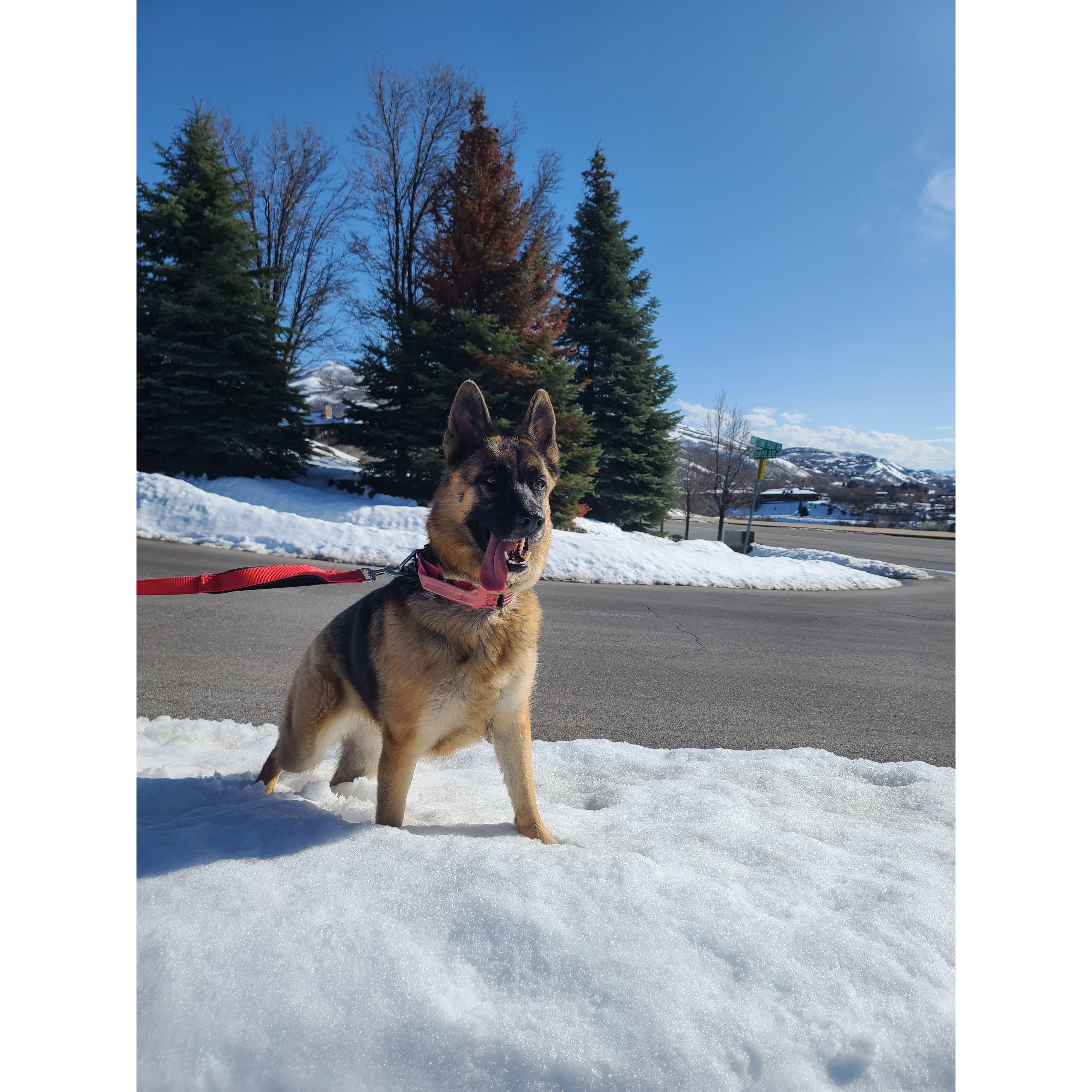 Fresh air in the form of Leia!
