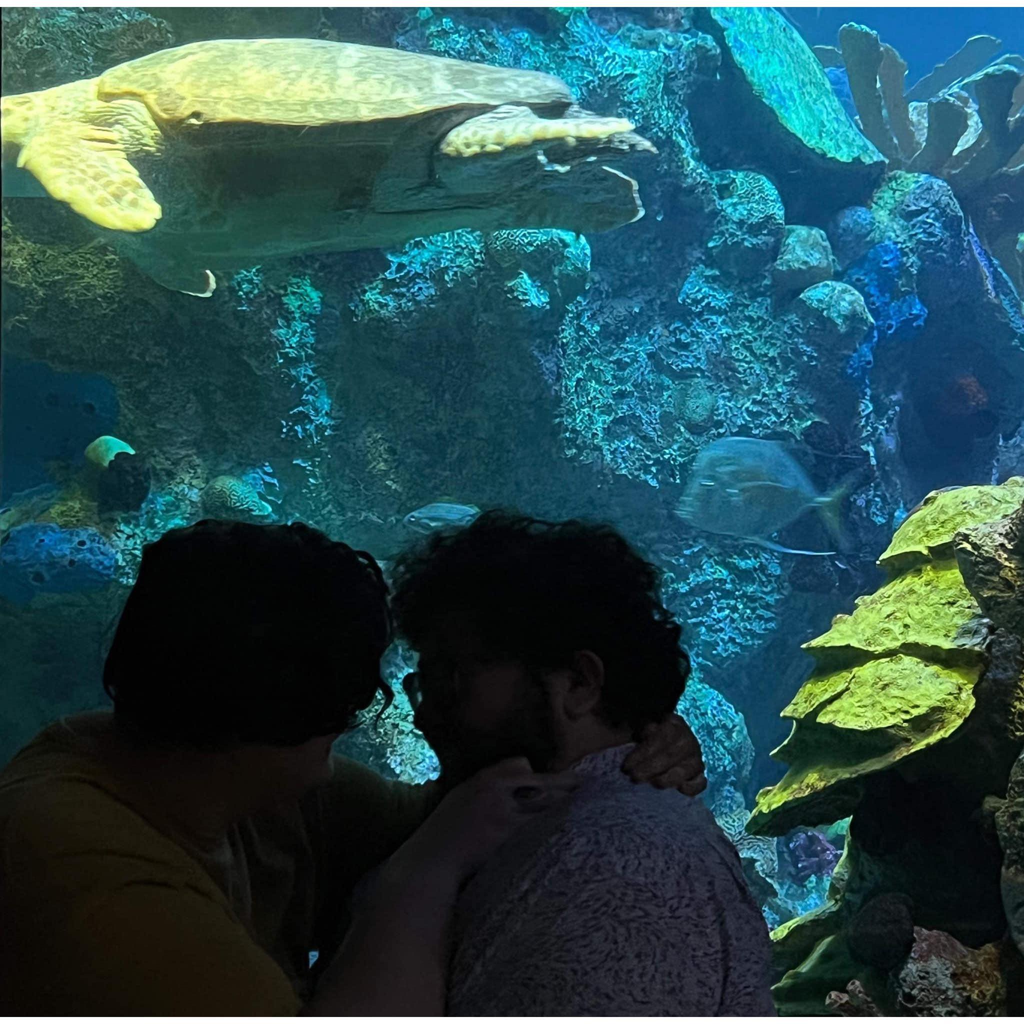 Our first kiss as an engaged couple