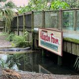 St. Augustine Alligator Farm Zoological Park