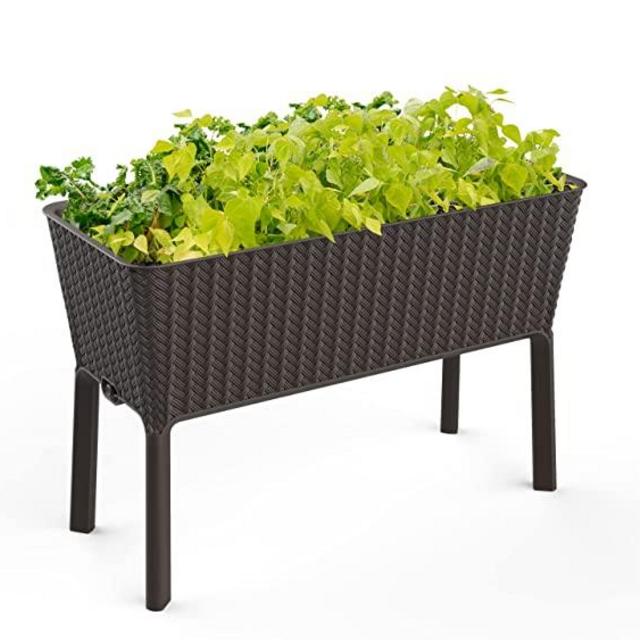 Keter Splendor 31.7 Gallon Raised Garden Bed with Self Watering Planter Box and Drainage Plug-Perfect for Growing Fresh Vegetables, Flowers and Herbs, Brown