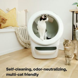 Whisker Litter-Robot 4 Automatic Self-Cleaning Cat Litter Box, White