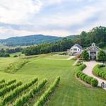 Pippin Hill Farm & Vineyards - for the Winos 🥂