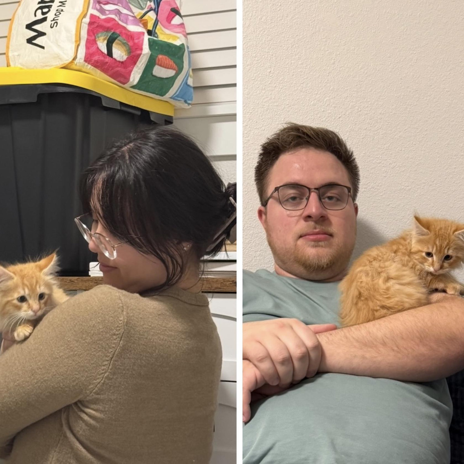 November 2025
Angelica adopted Miso, Tatton reluctantly gave into his cuteness