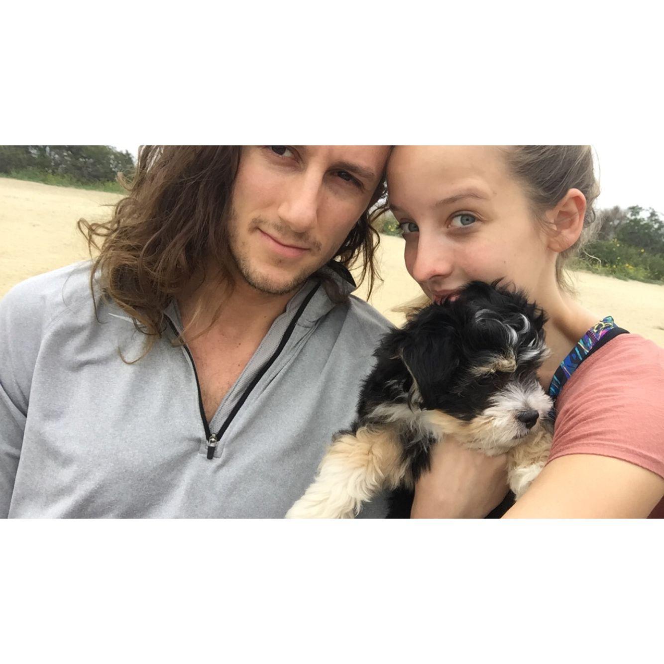 A hike on Runyon Canyon with our dog, Harry