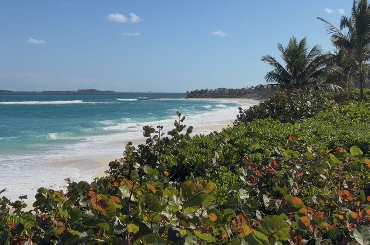 325dbb53-e4ad-4e37-b65b-8373d57fcd15