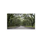 Wormsloe Historic Site