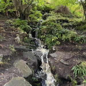 Grenada Jeep Waterfall Excursion