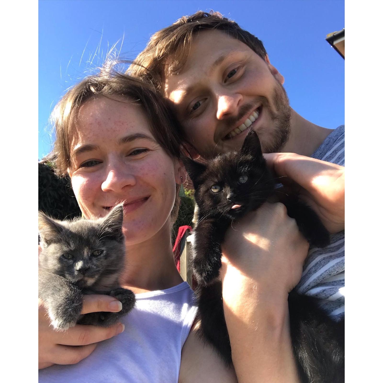 The day we brought Sorrel and Bramble home!