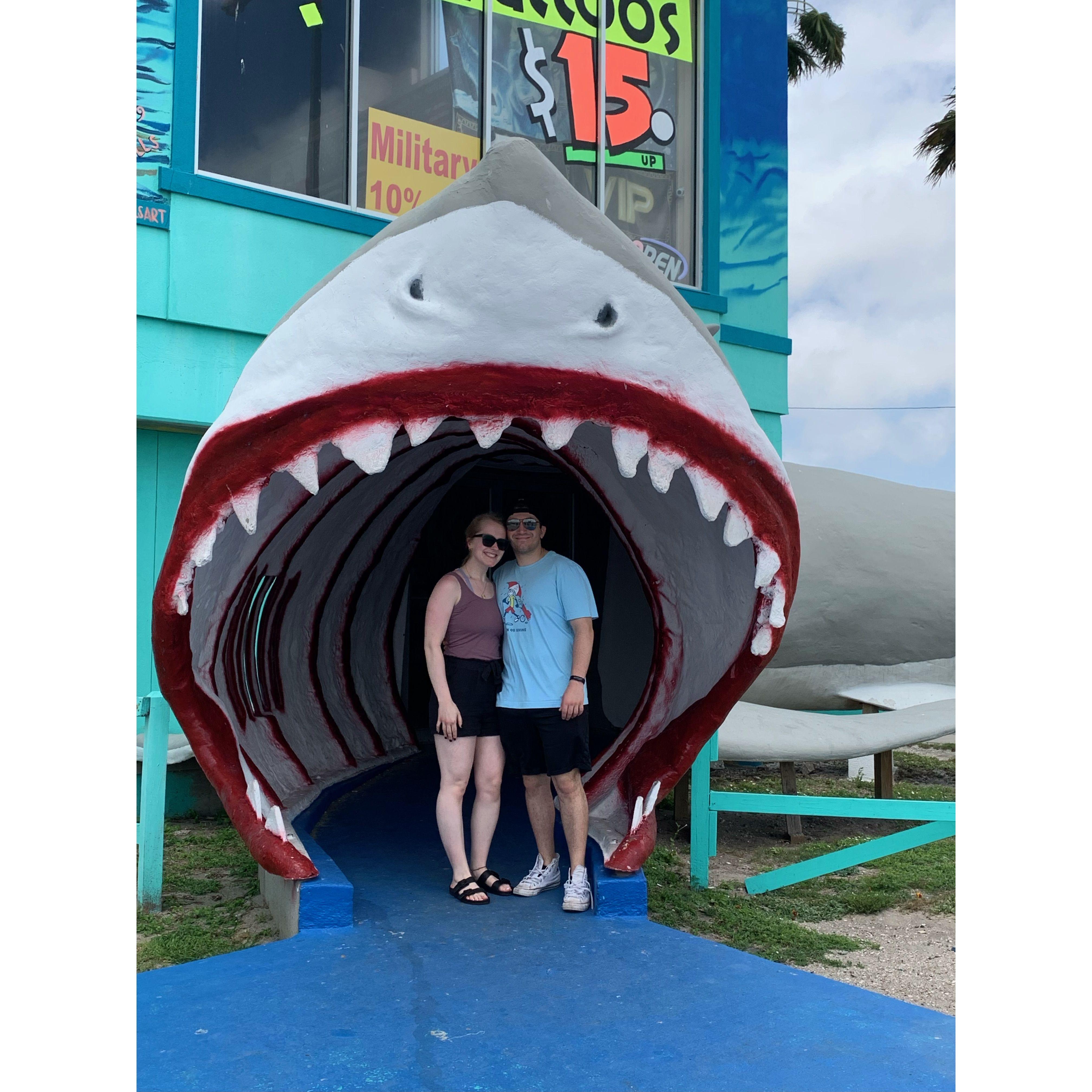 Visiting Corpus for the First Time!