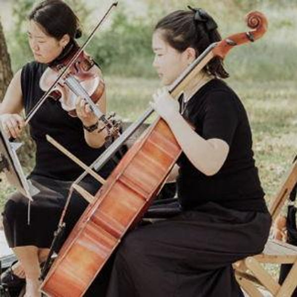 The Nobel Strings