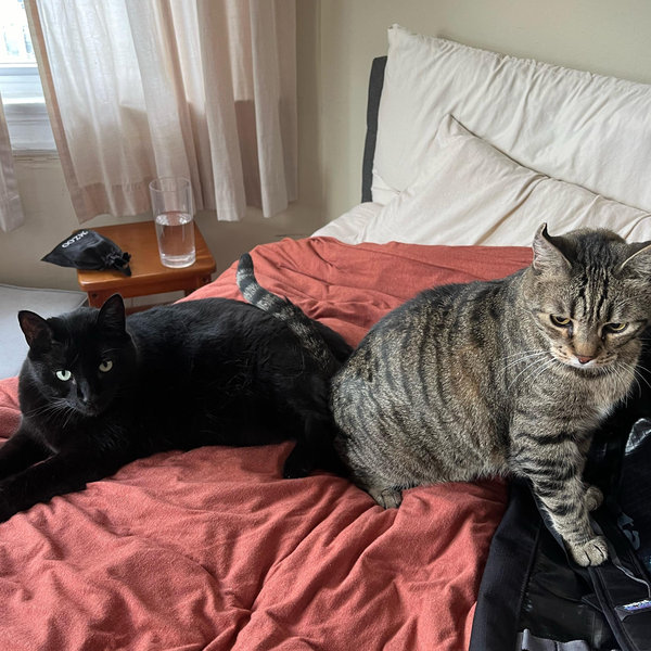 Lucky & Sophie Fund
