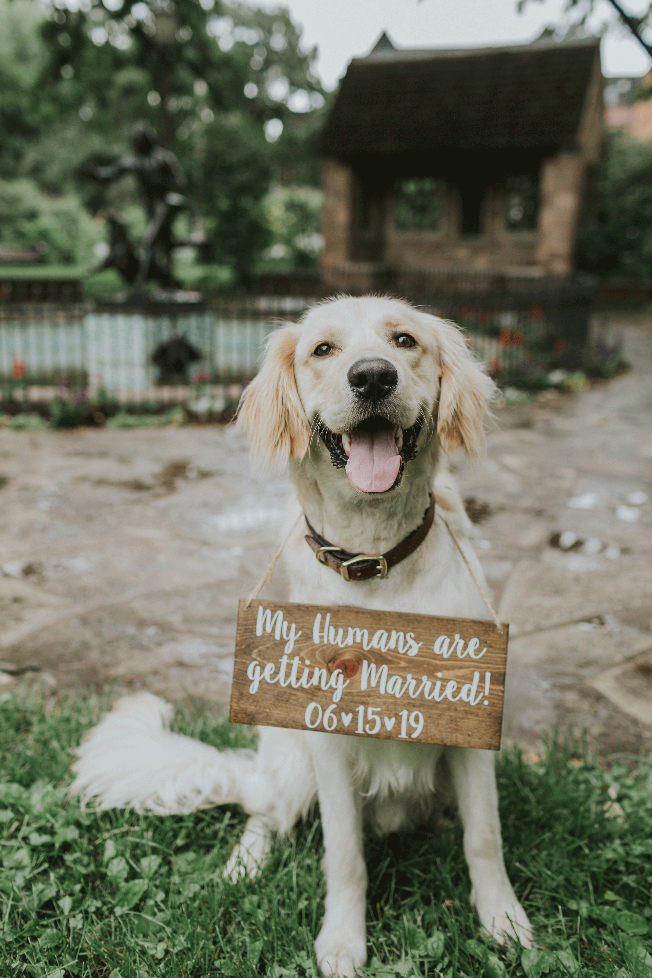 The Wedding Website of Ethan Schmitz and Noelle Anderson