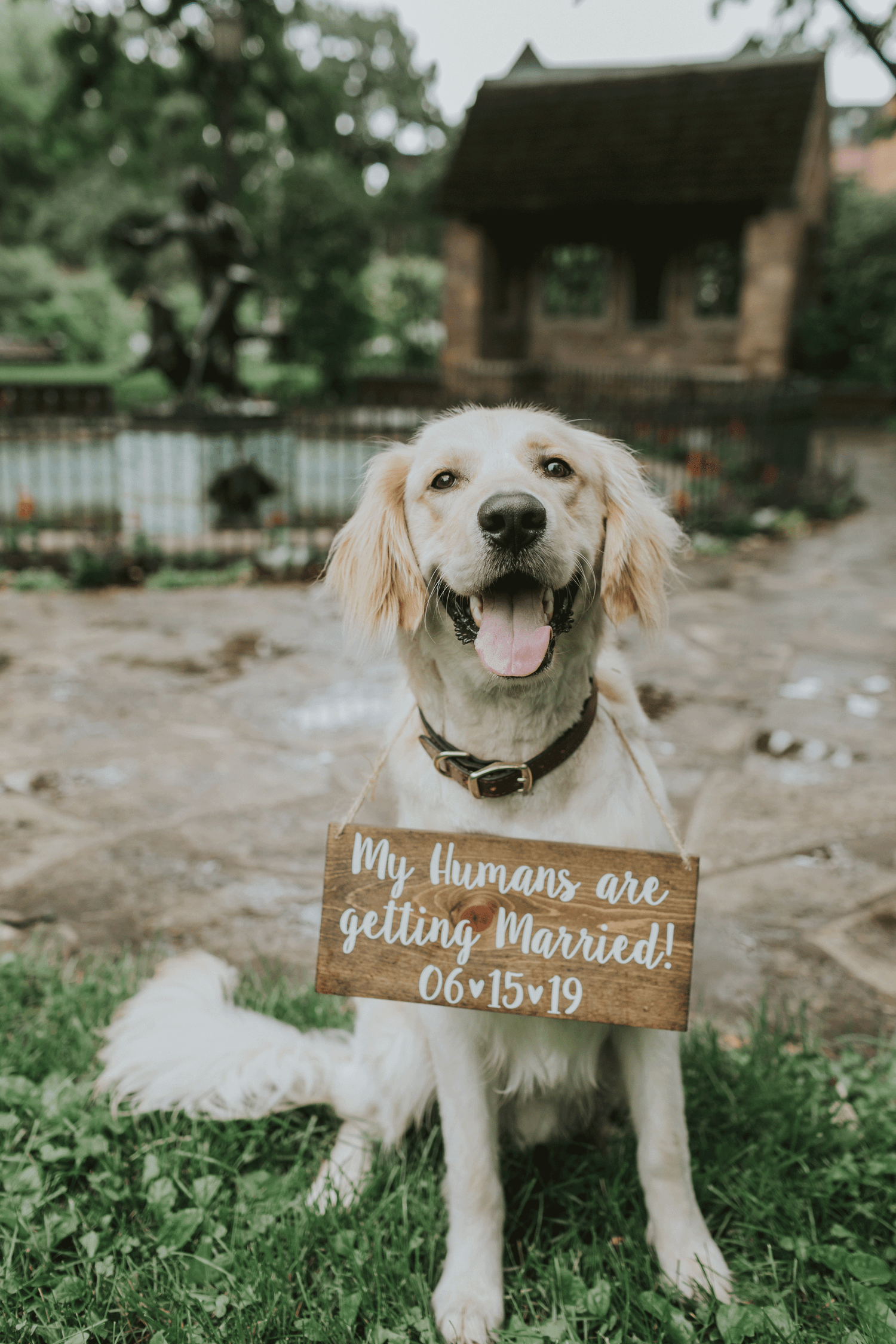 The Wedding Website of Ethan Schmitz and Noelle Anderson