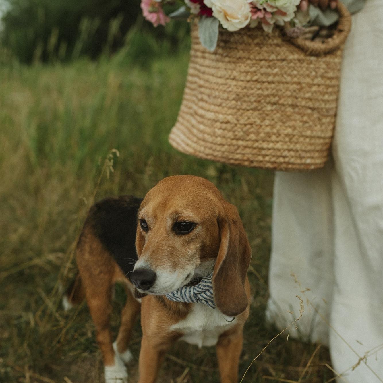 Engagement picture