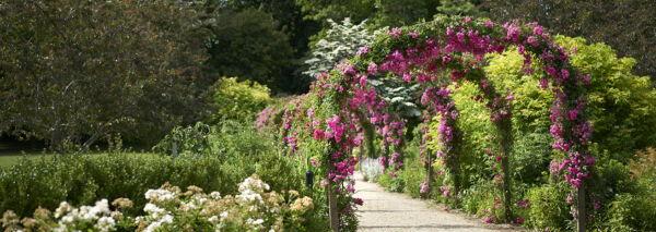 The Wedding Website of Steph Kurse and Brian Oehme