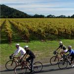 Napa Valley Bike Tours