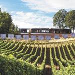 Sokol Blosser Winery