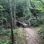 Rockaway River State Wildlife Management Area