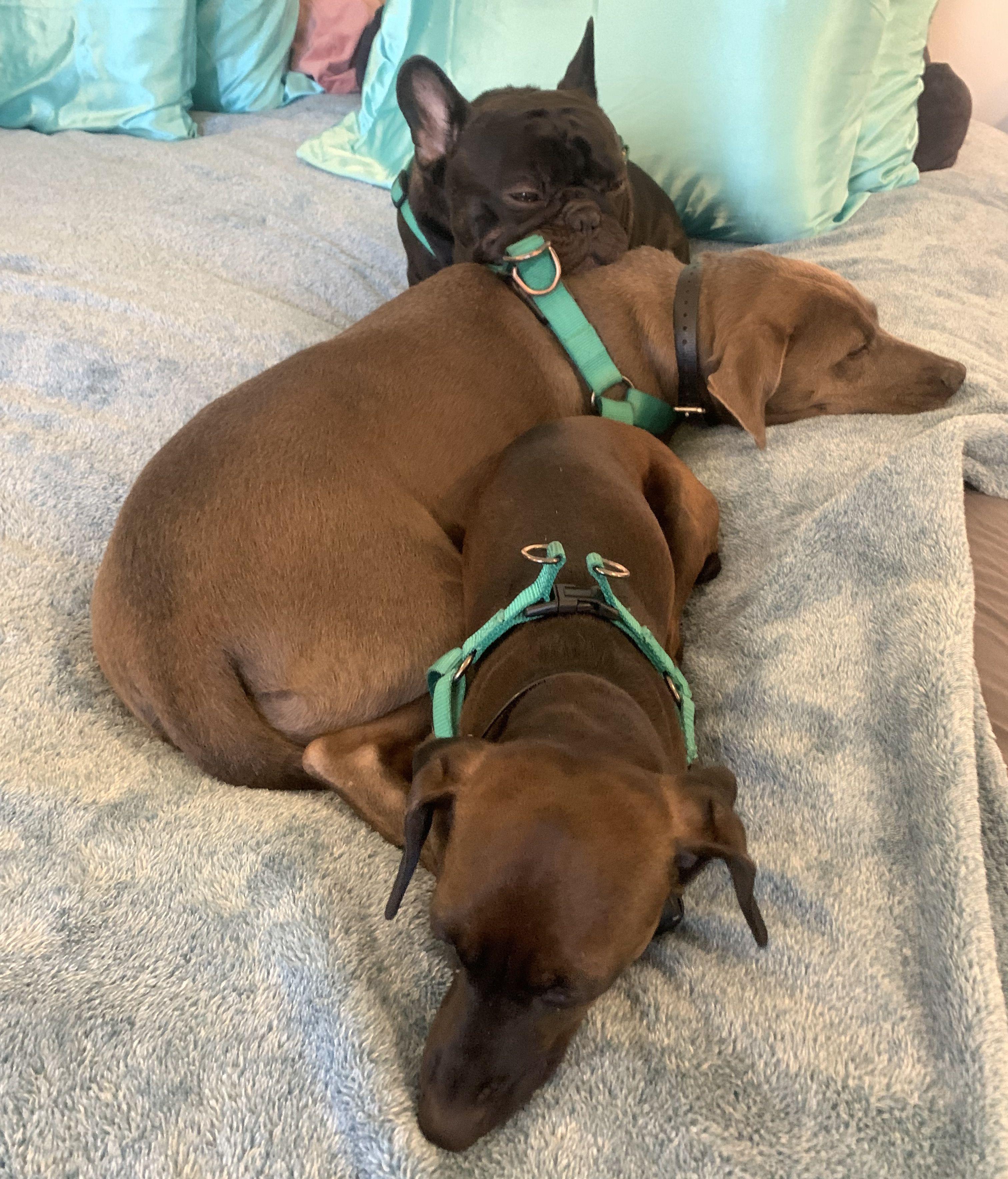 32670676-3f64-49c7-8881-c8158de243b1