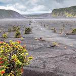 Visit Hawaii Volcanoes National Park