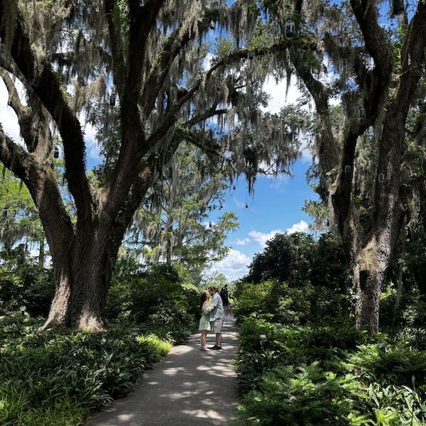 Hero Slideshow Image 0