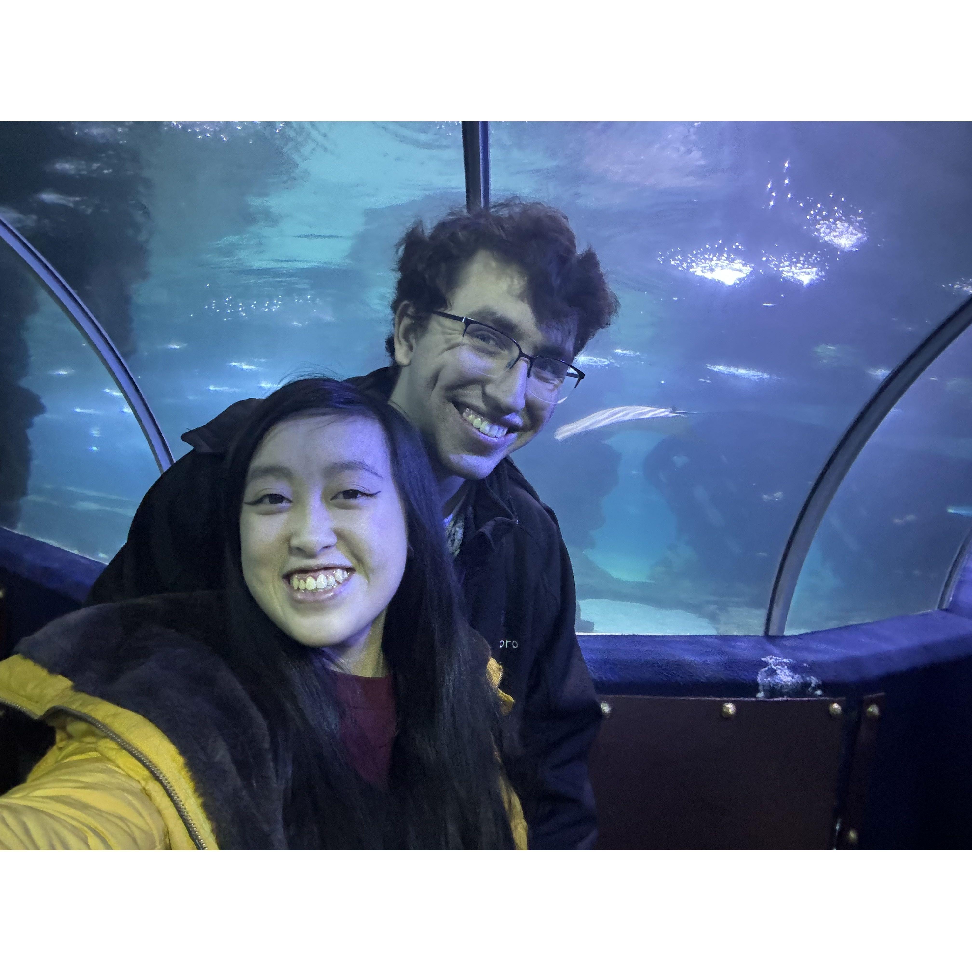 February 18, 2024 - The two had a winter date visiting the Great Cleveland Aquarium