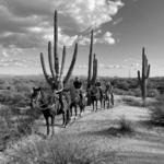 Go Horseback Riding Through The Tonto Forest!