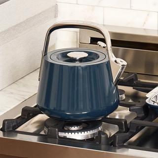 Stovetop Whistling Tea Kettle