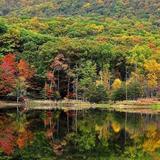 Cacapon Resort State Park