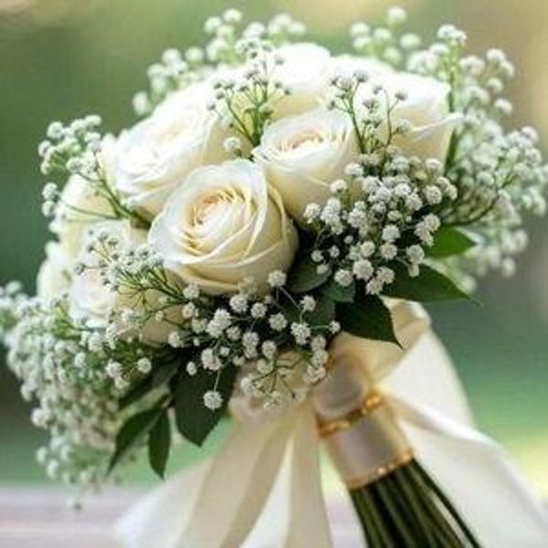Our newlywed fund