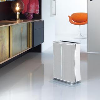 Roger Little Hepa Air Purifier