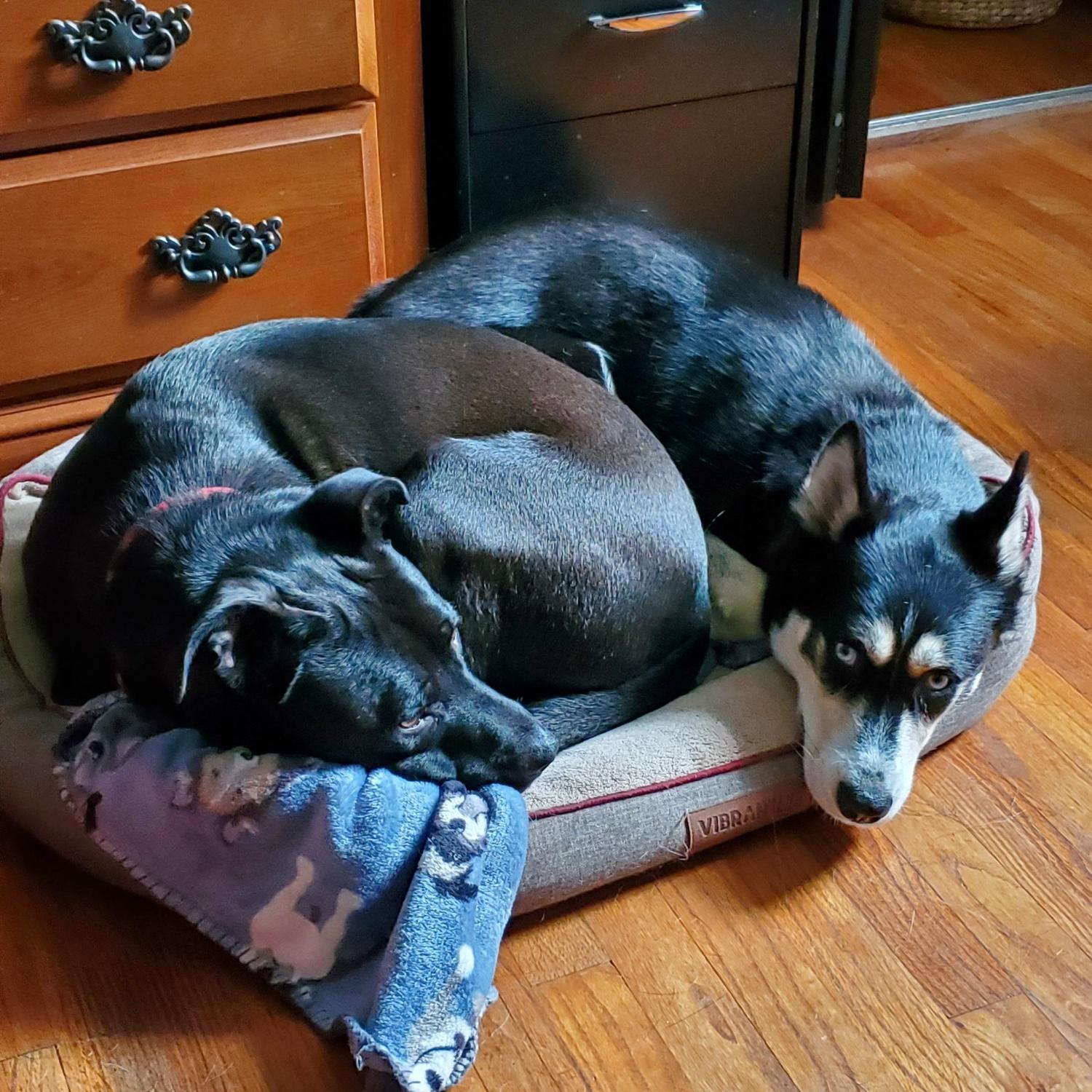 A&P