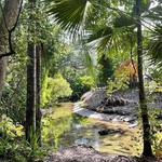 Mead Botanical Garden