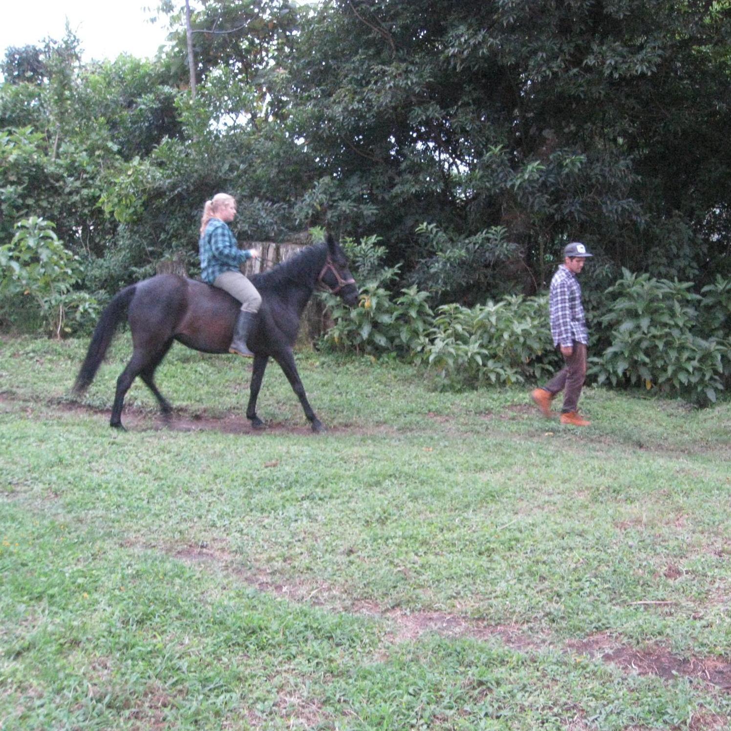 Love was born on the farm in Costa Rica as we had barn chores together every day.