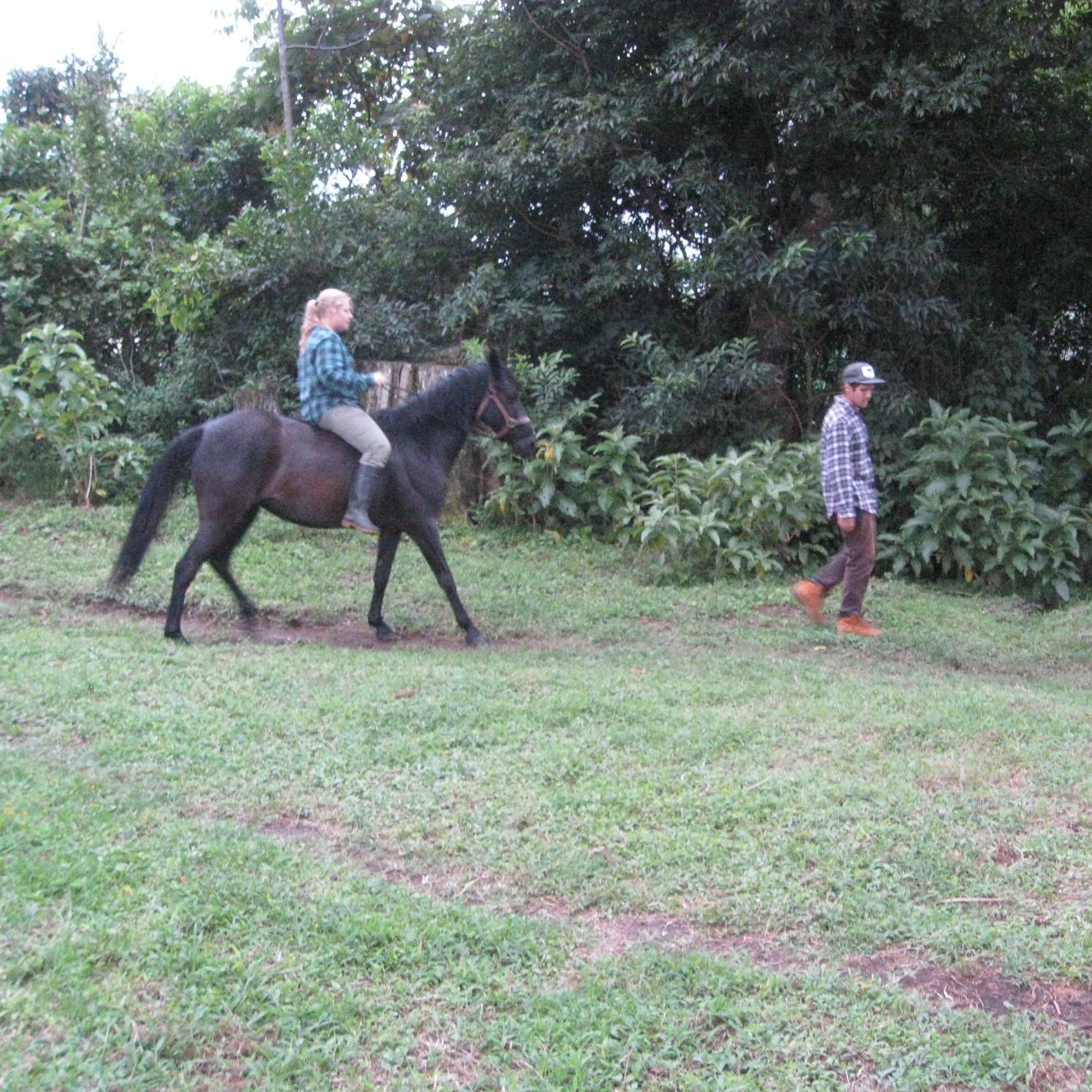 Love was born on the farm in Costa Rica as we had barn chores together every day.