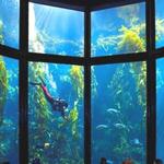 Monterey Bay Aquarium